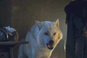Lobo Terrível: de Game of Thrones para o Mundo Real